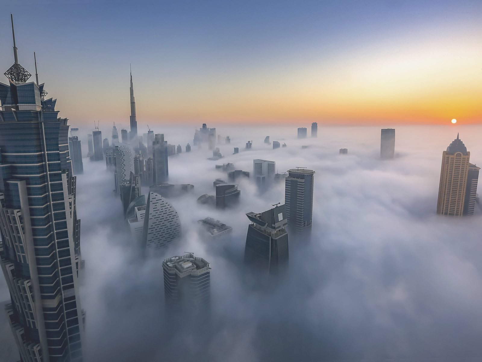 Downtown towers rising above the morning fog