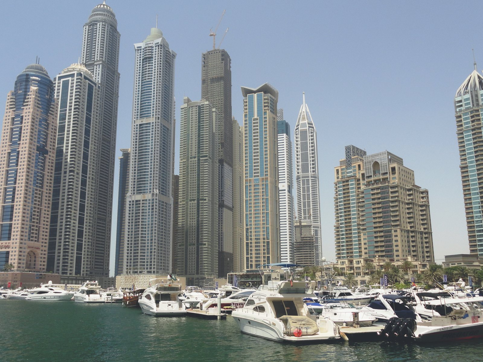 Waterfront towers and a marina